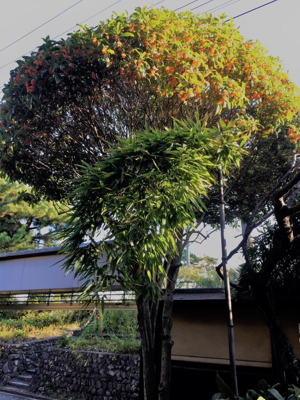 京苑 Kyoen 京町家 호텔 교토 외부 사진